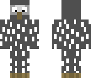 owl