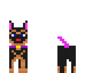 dog