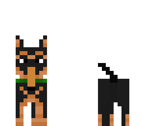 bearded shepard