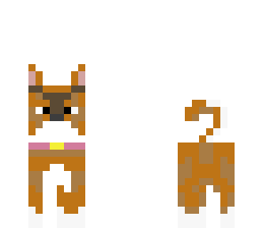 welsh corgi and plz like