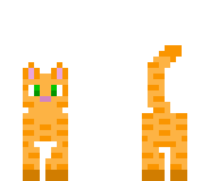 cute kitty