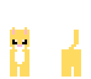 tan kitten