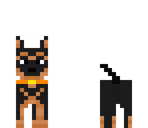 dog