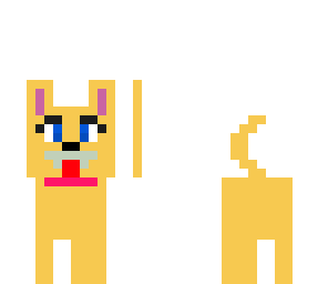puppy for jessy