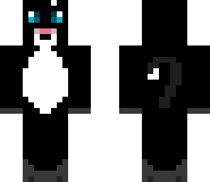 black cat