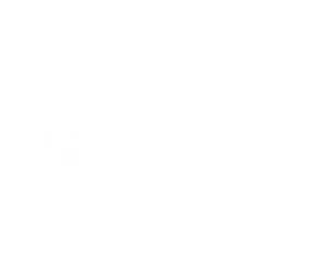 egg xd