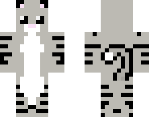 fixed light grey cat