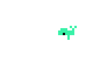 whale
