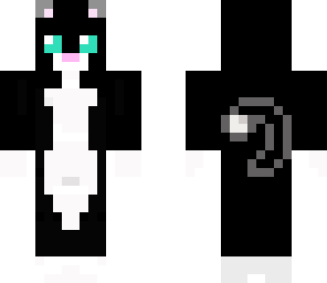 black cat