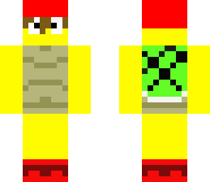 pirate turtle