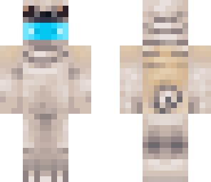 pug helmet and costume