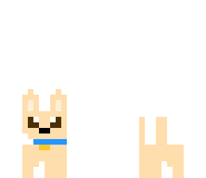 my dog