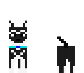 snow dog