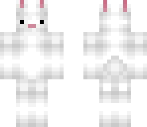 cute bunny