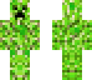 summer bush creeper
