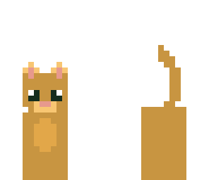 cookie colour cat