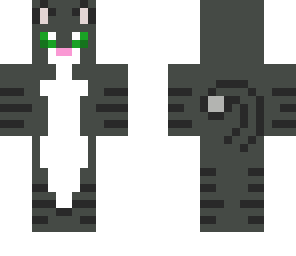 grey tabby neko