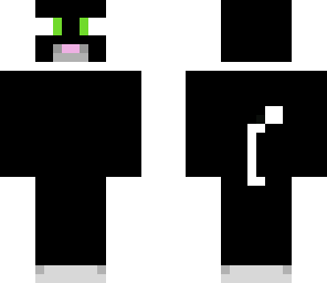 black cat