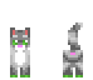 cute cat