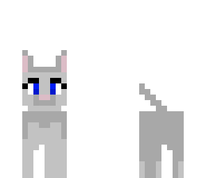 kitty
