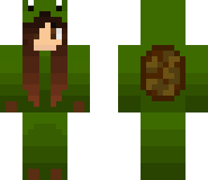 turtle costume