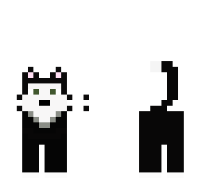 cute kitty