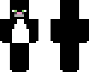 tamed tuxedo cat
