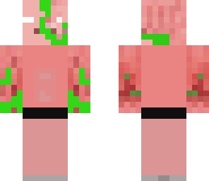 theminecraftpigamn
