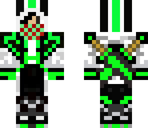 assassin ninja 2