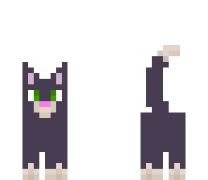 cats
