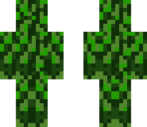 bush men
