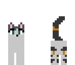 my cat
