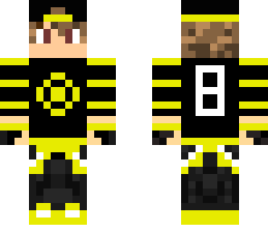 boston bruins fan