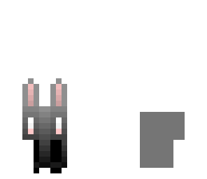 gray bunny