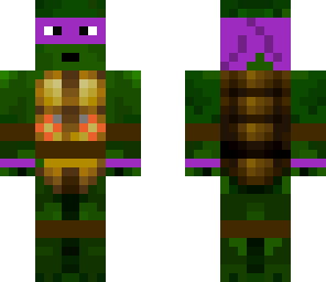 purple ninja turtle