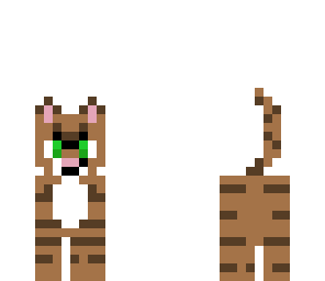 angry cat