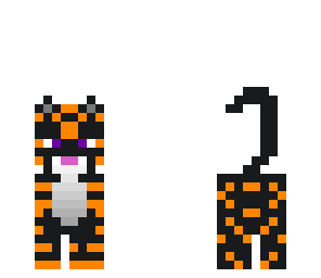 kitty