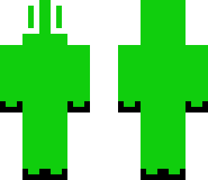 lizard