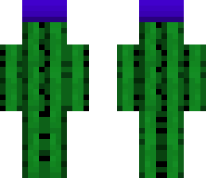 cactus with blue hat