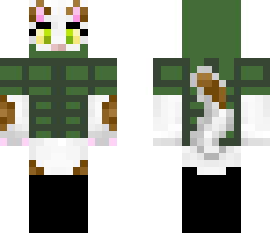 soldier cat