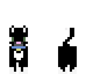 cute black cat