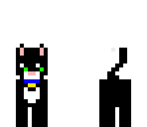 little kitty 