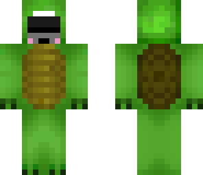 d20 turtle 