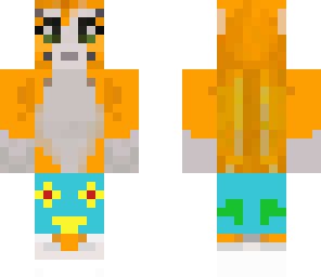 surfer stampy