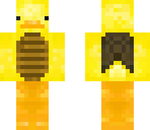 turtle duck
