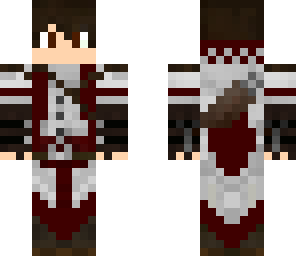 assassin nice