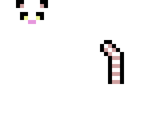 cute white cat