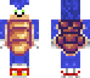 sonic the turtle