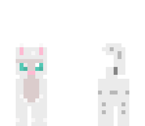 white and gray cat