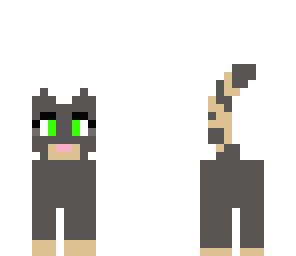kitty cat